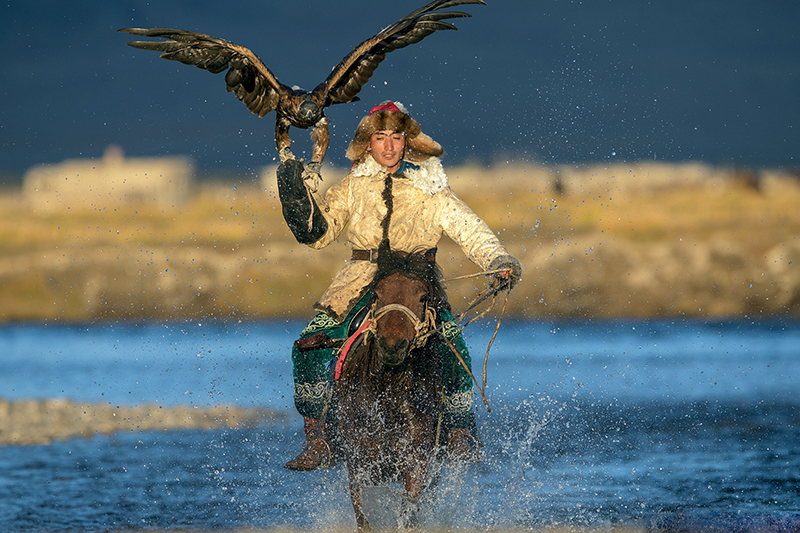 hunting with eagle mongolia